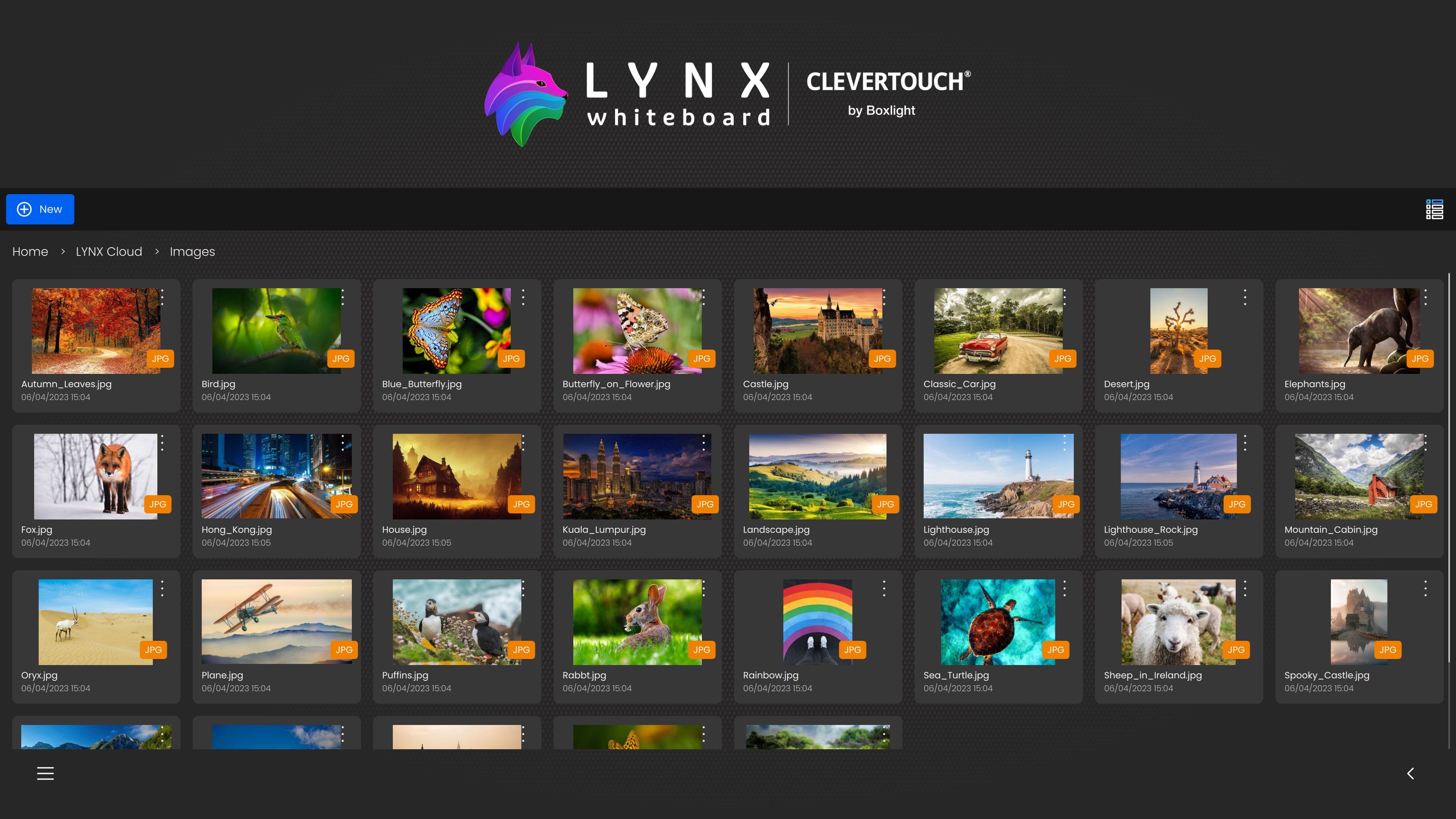 LYNX Whiteboard