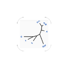 Phylogenetic Tree Draw