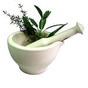 Herbs in Daily Life