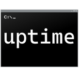 wuptime