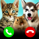 Cute Pets Prank Call (Cat, Dog, Rabbit, Hamster and more!)