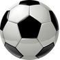 Winning Soccer Game