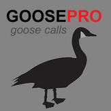 REAL Goose Calls App for Canada Goose Hunting - BLUETOOTH COMPATIBLE
