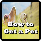 How to Get a Pet