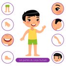 Body parts for kids - French version