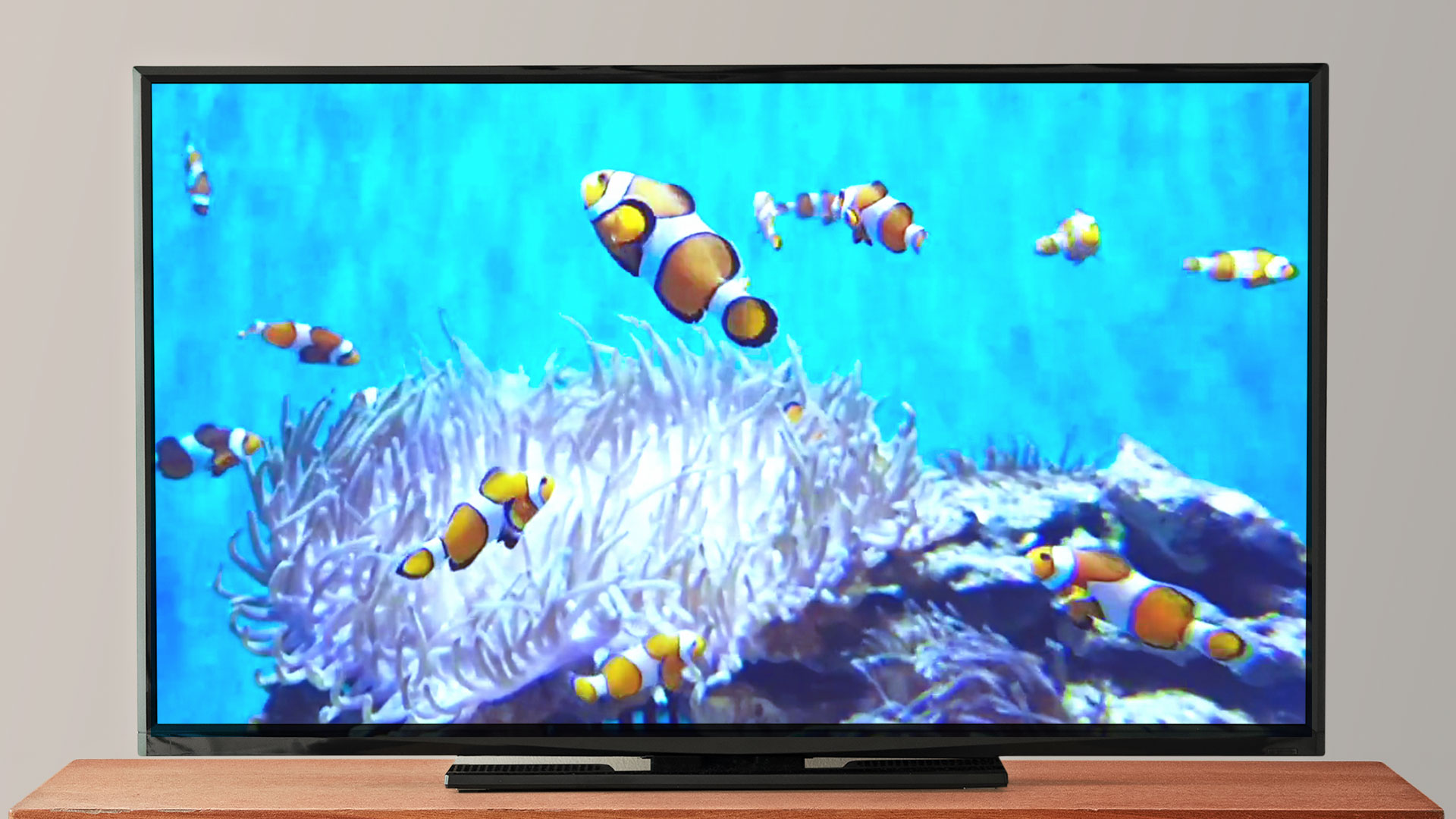 Amazing Aquariums In HD: Aquarium 4K VIDEO - Beautiful Coral Reef Fish - Relaxing Sleep Meditation Music Screensaver For Tablets And Fire TV - NO ADS