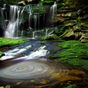 Free Beautiful Wallpapers HD