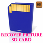 recover picture sd card
