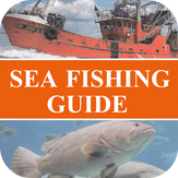 Sea Fishing Guide