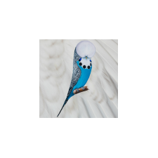 Budgerigar App