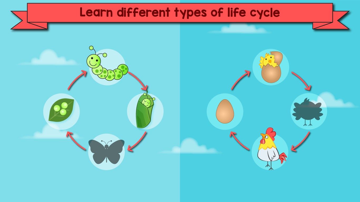 Kids Games Learning Science