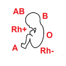 Blood Type of Baby