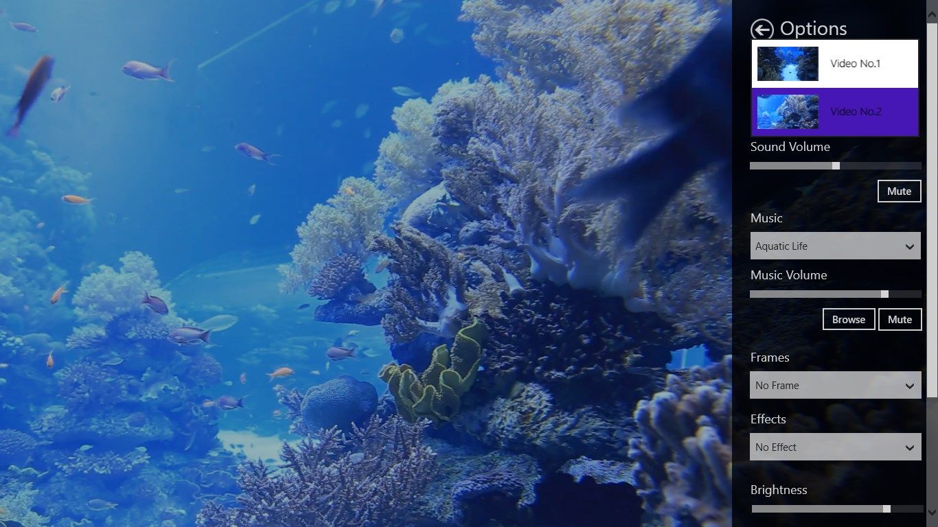 Bluish fresh Aquarium