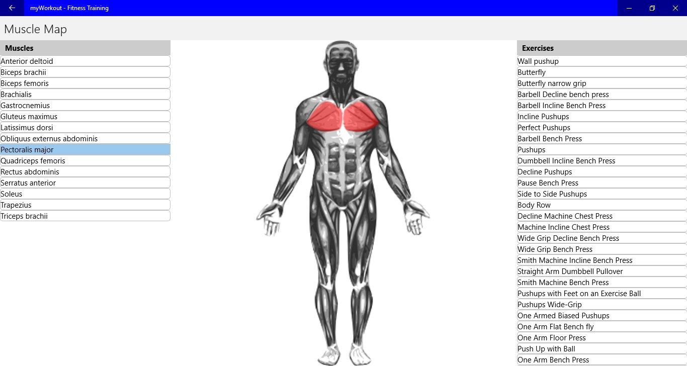 Filter Workouts by Muscle Group on Muscle Map