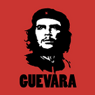 Biography of Che Guavera