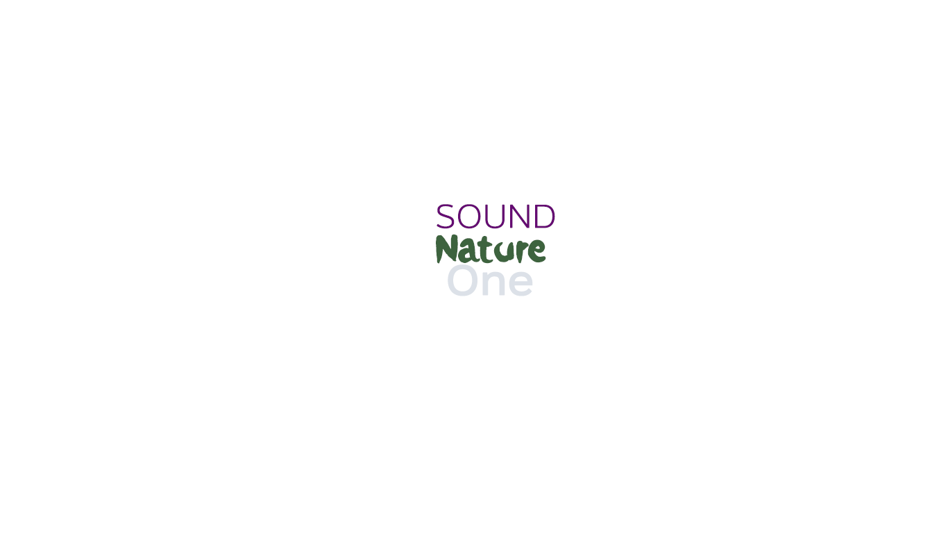 SoundNatureOne