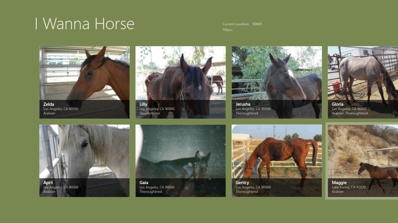 Main application page showing available horses.