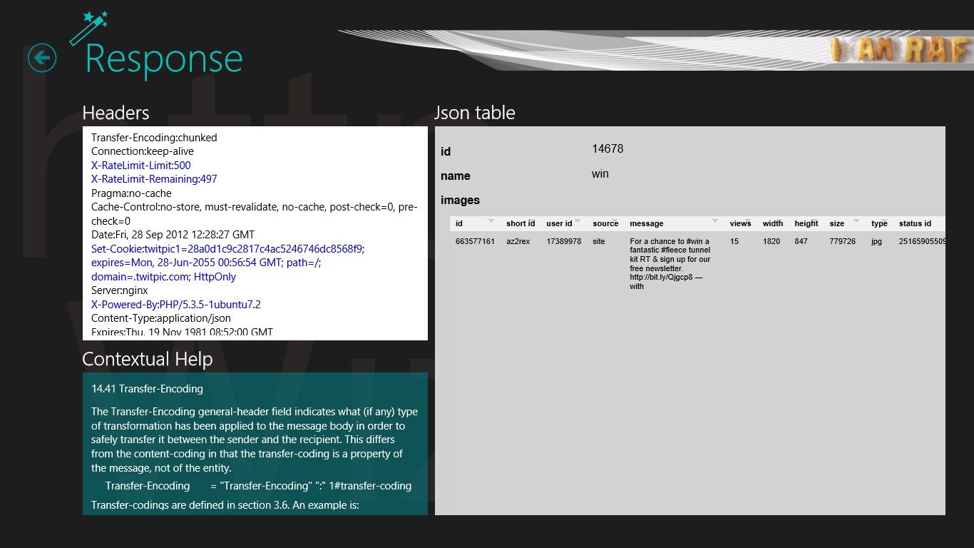 Response view: interactive table json view