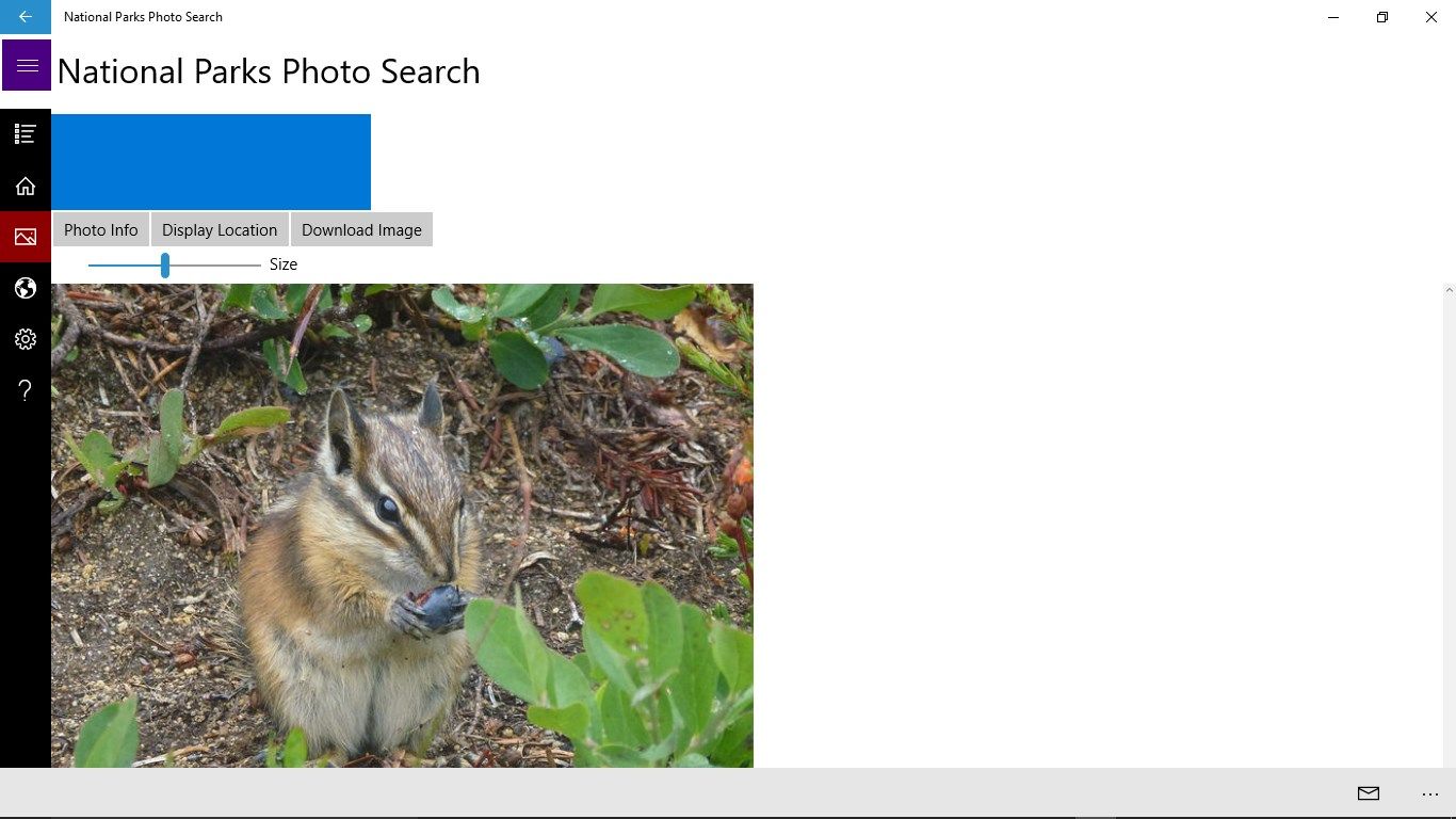 A photo of a chipmunk has been selected.