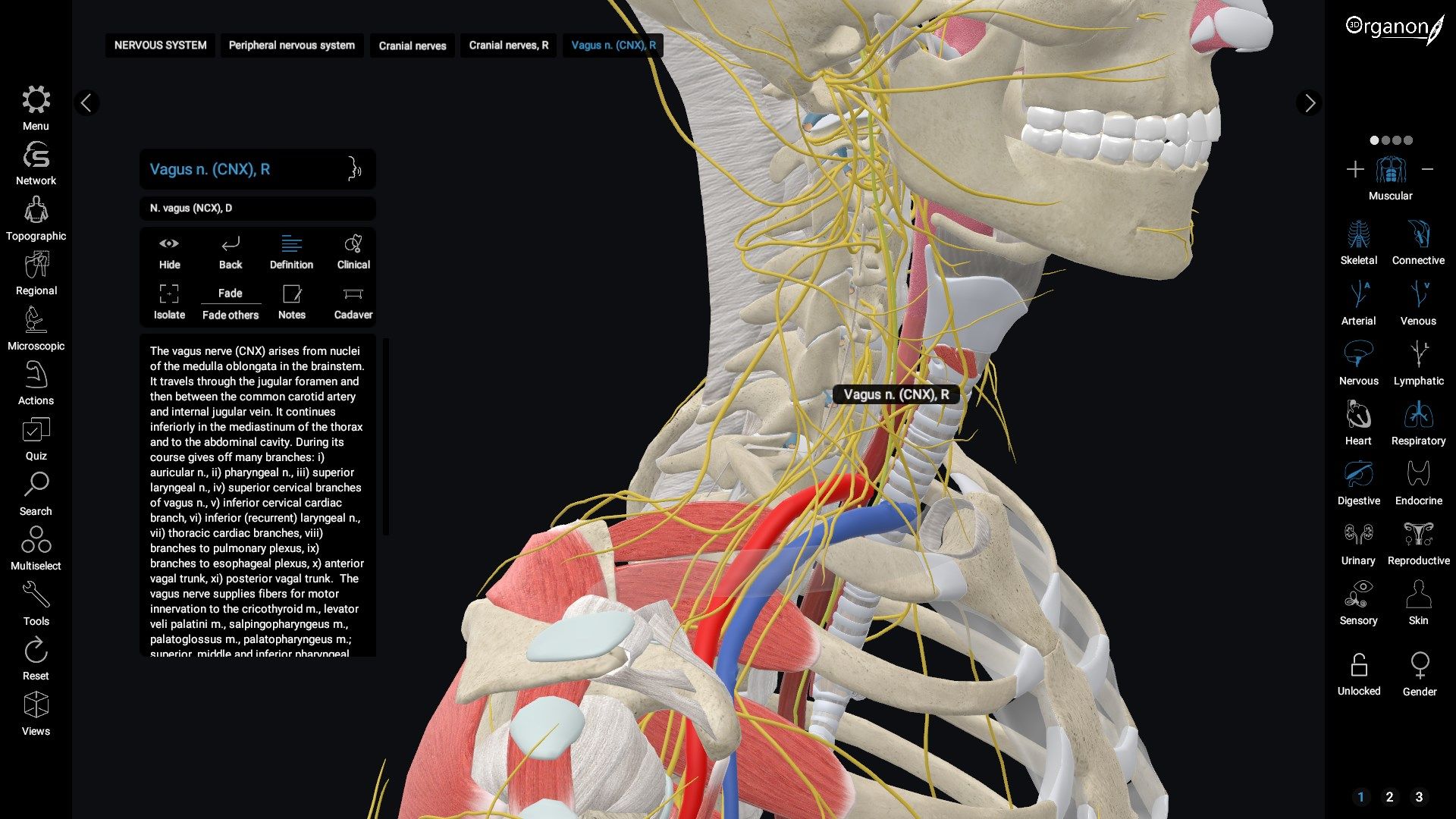 3D Organon Anatomy - Enterprise Edition
