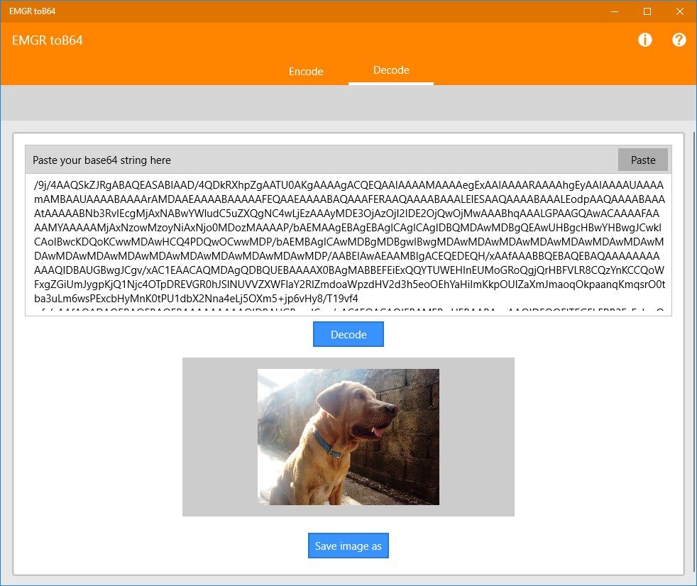 Convert your base64 codes to images.