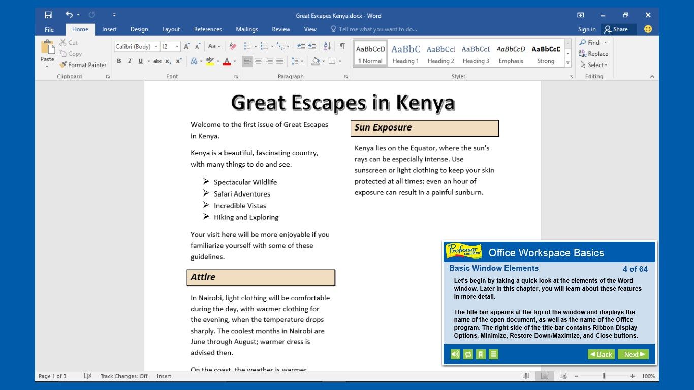 Learn about Office window elements, the status bar, and Microsoft Office Backstage.