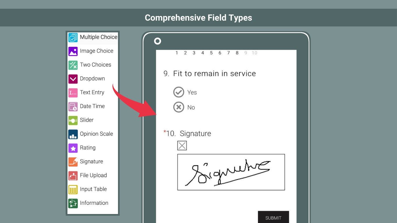 Comprehensive Field Types