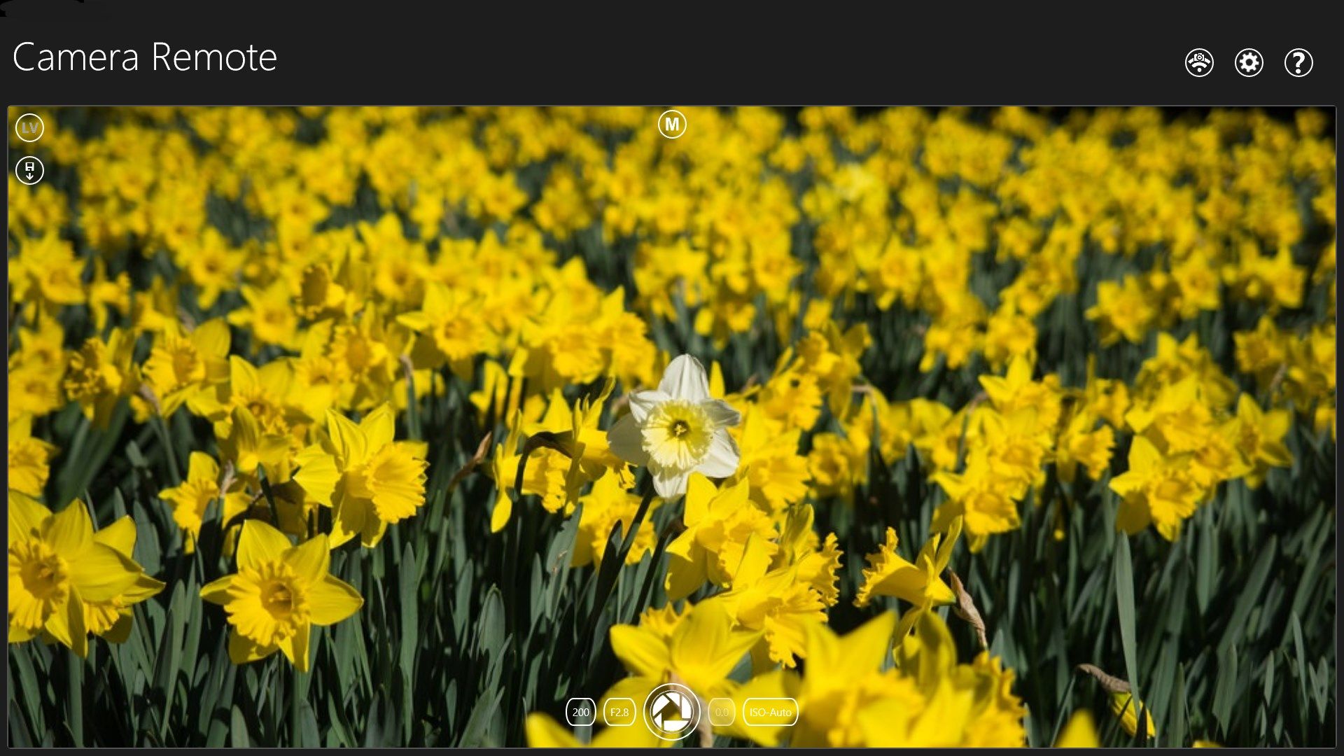 Take your photo and review it on your Windows device. Zoom in and pan around to check the detail.