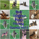 Basic Obedience Puppy Training Tutorial Vol 2