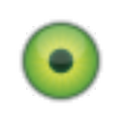 Q-Eye