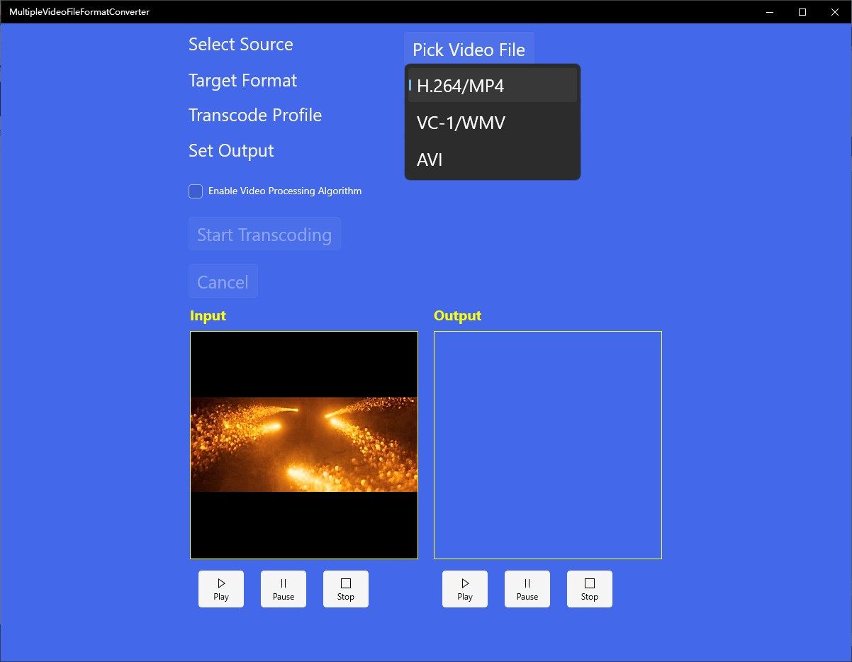 Multiple video file format converter