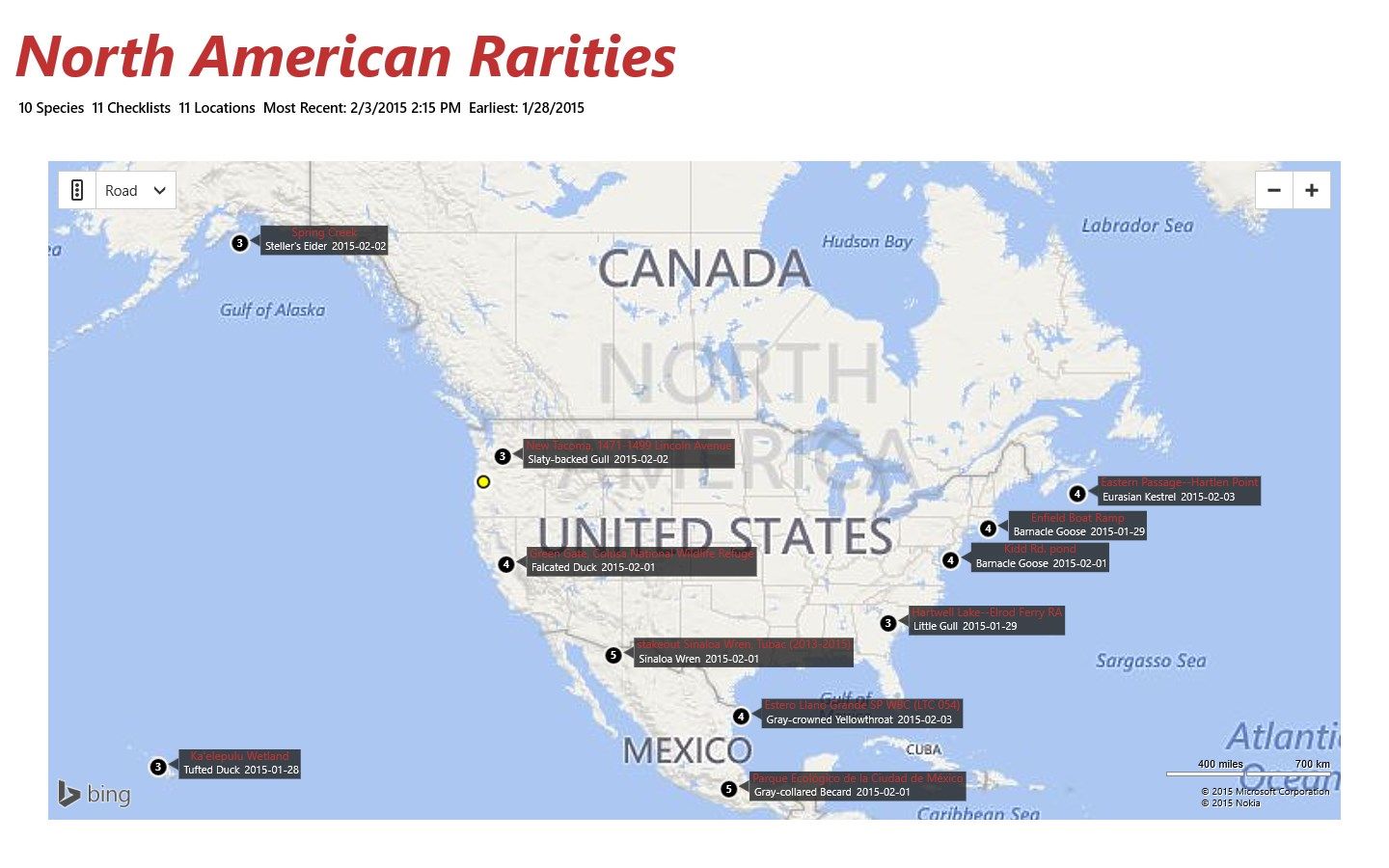See locations where rare birds were found throughout North America.