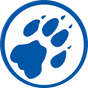 Line Cheetah