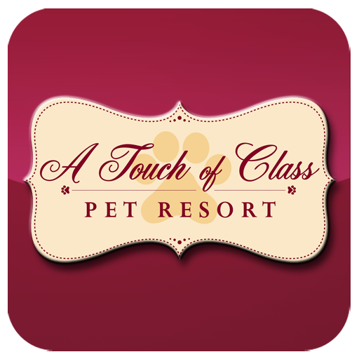 A Touch of Class Pet Resort