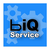 BIQ Service