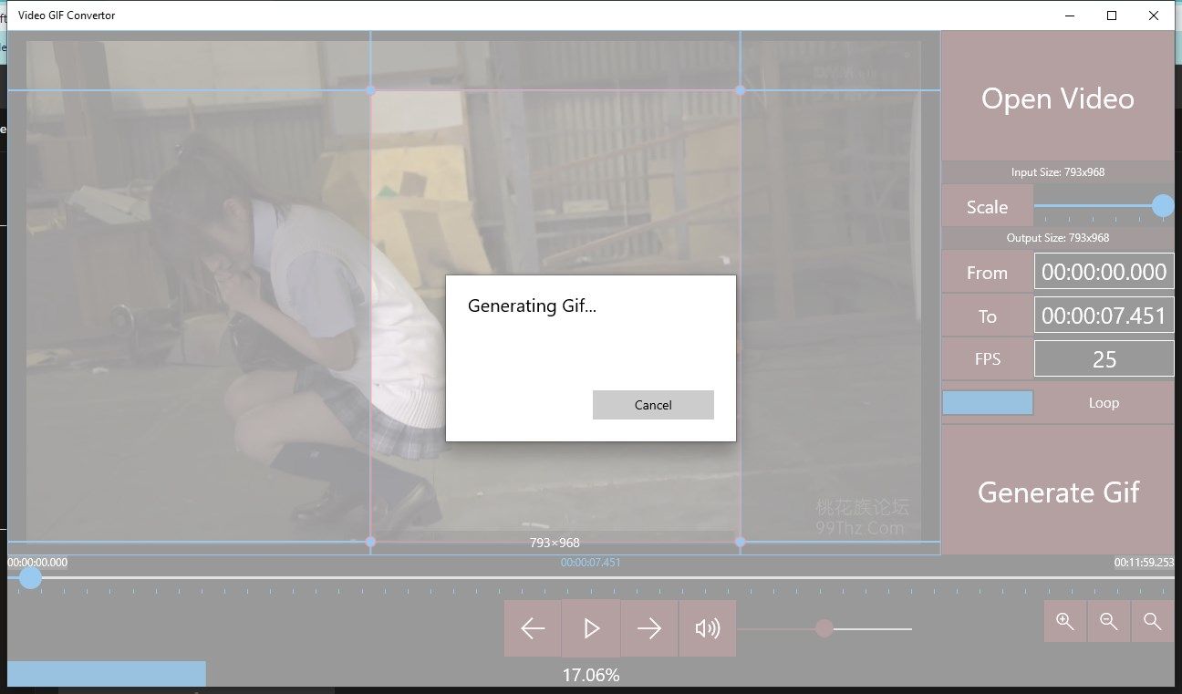 Video GIF Convertor