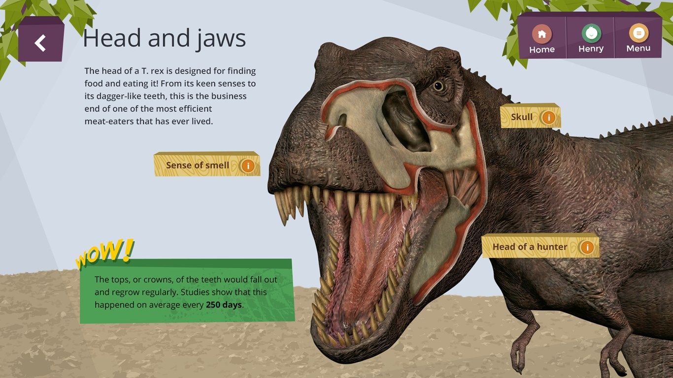 More information for Head and jaws of a T. Rex