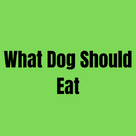 What Dog Should Eat
