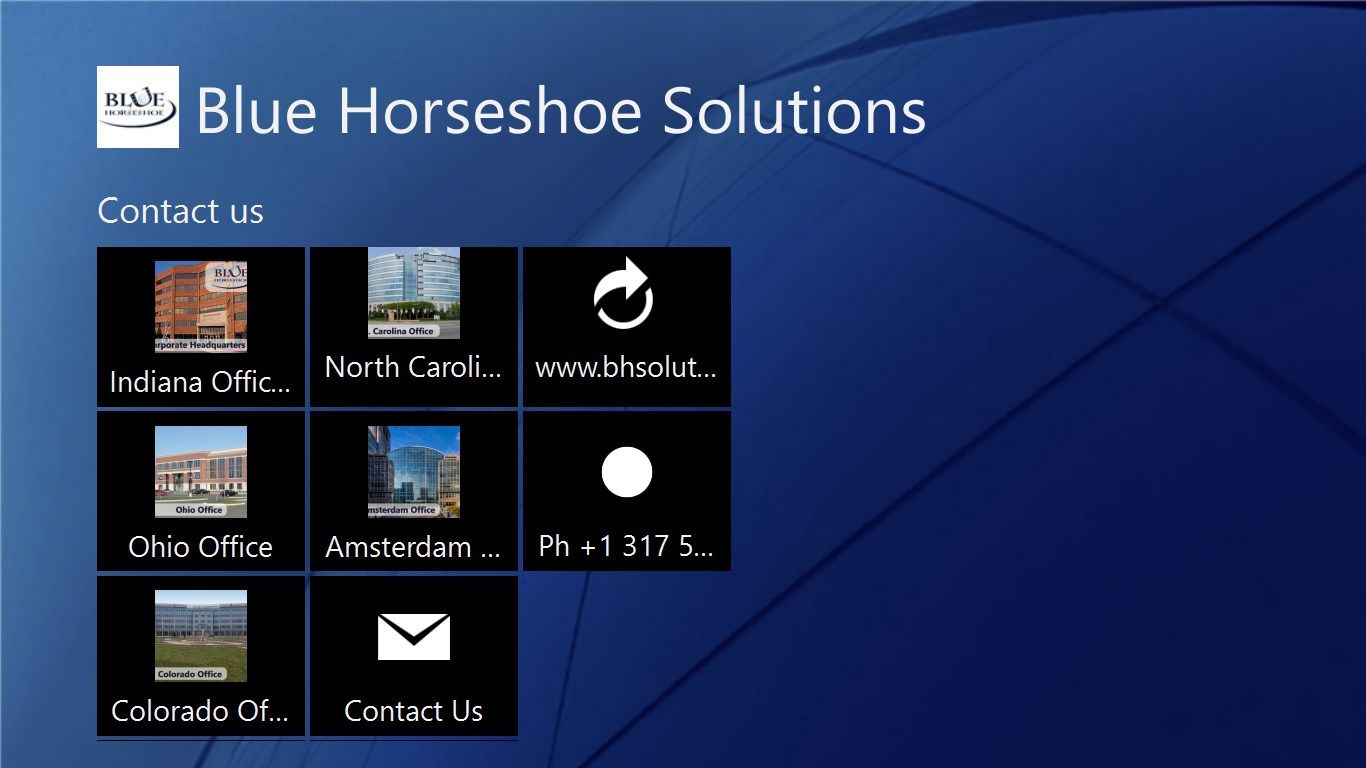 Blue Horseshoe Solutions Inc