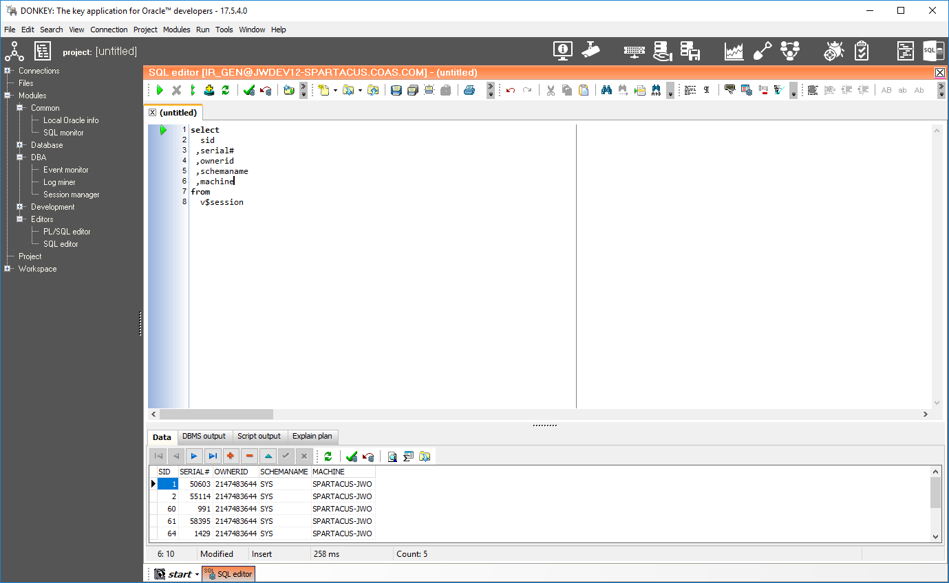 SQL editor. A general purpose query and statement execution environment