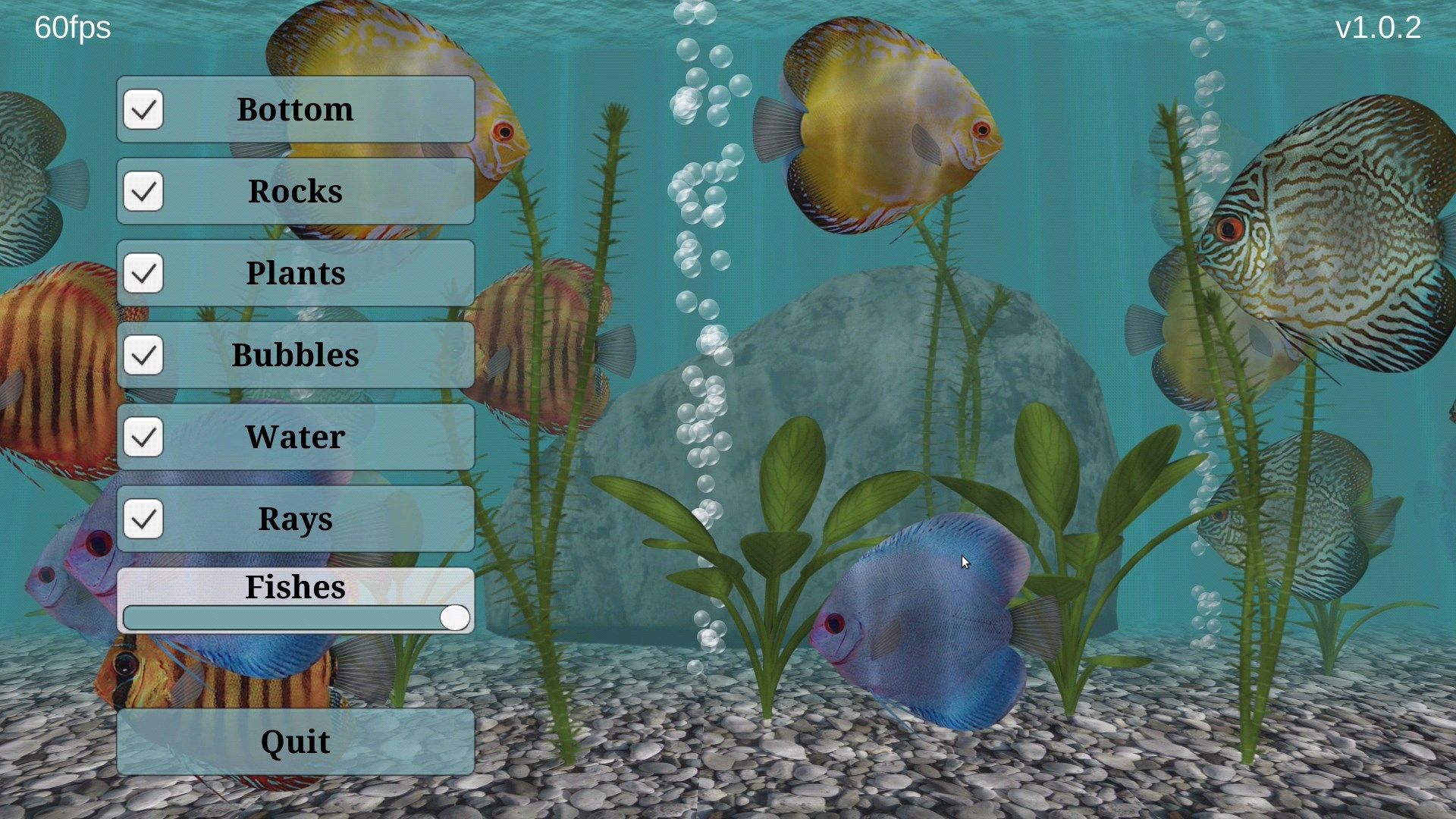Discus Fish Aquarium Fish Tank
