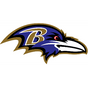 All About Ravens