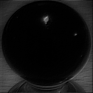 dYnO blAcK crYsTaL