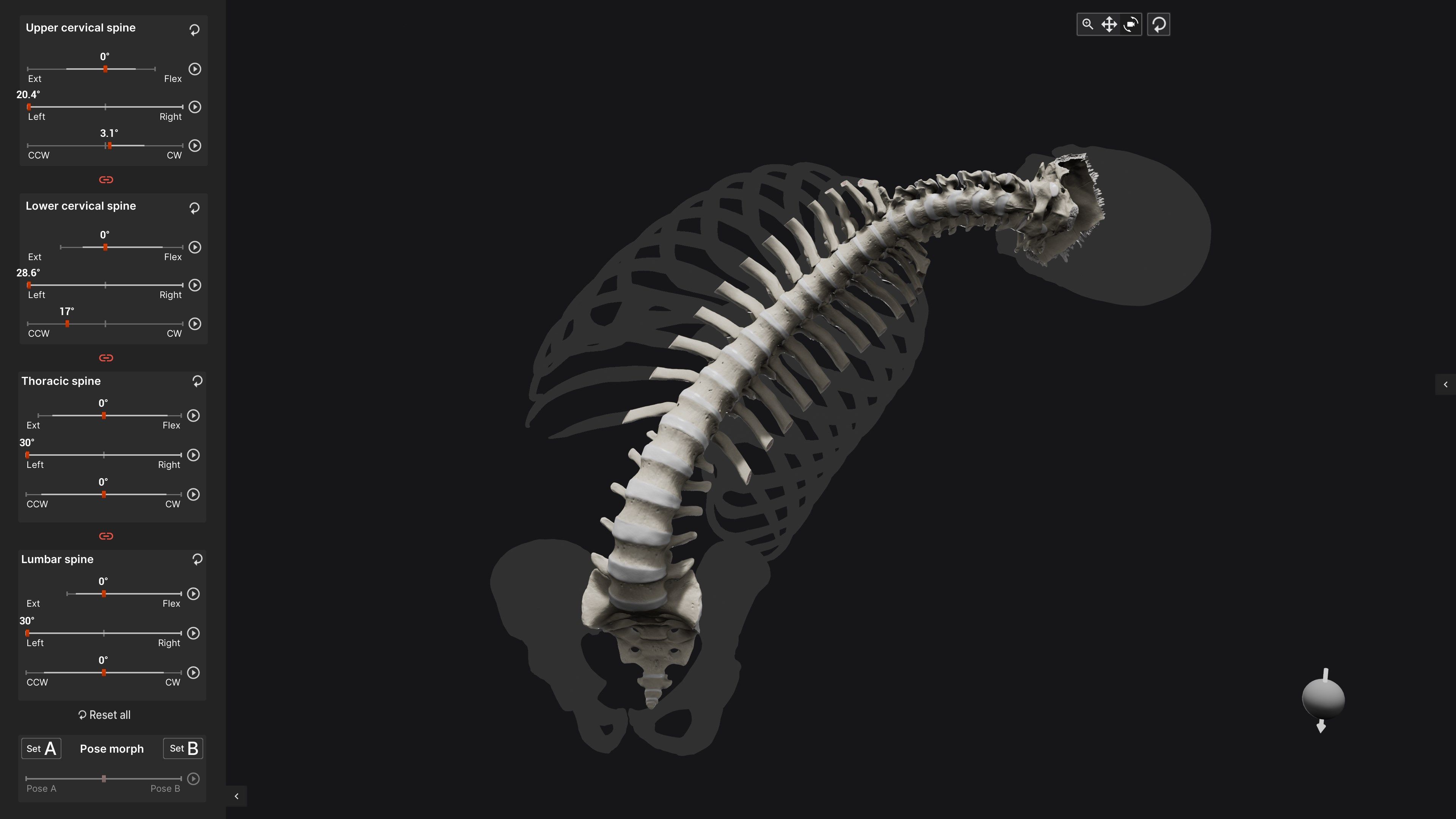 Biomechanics of the Spine