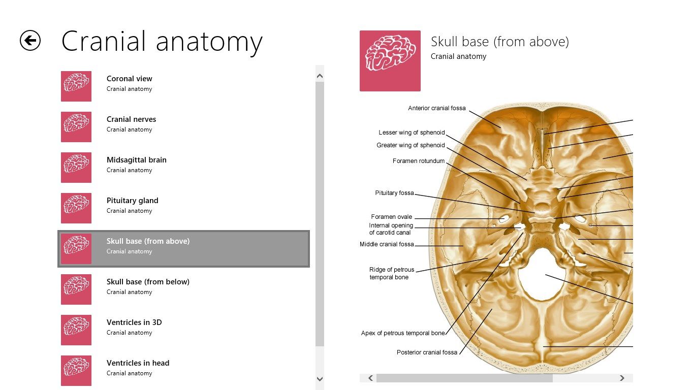 Cranial anatomical images