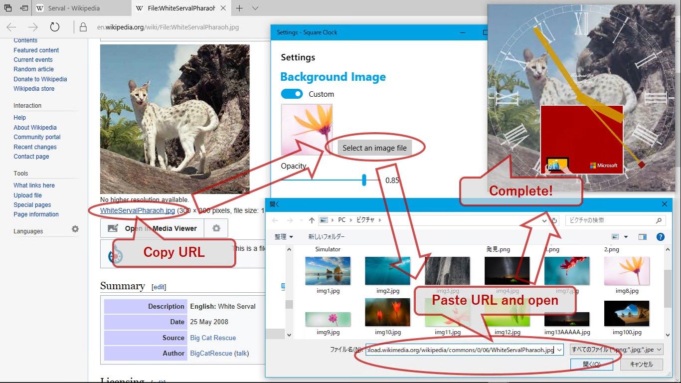 You can set your favorite image as the background (most image files on the local storage and web).
