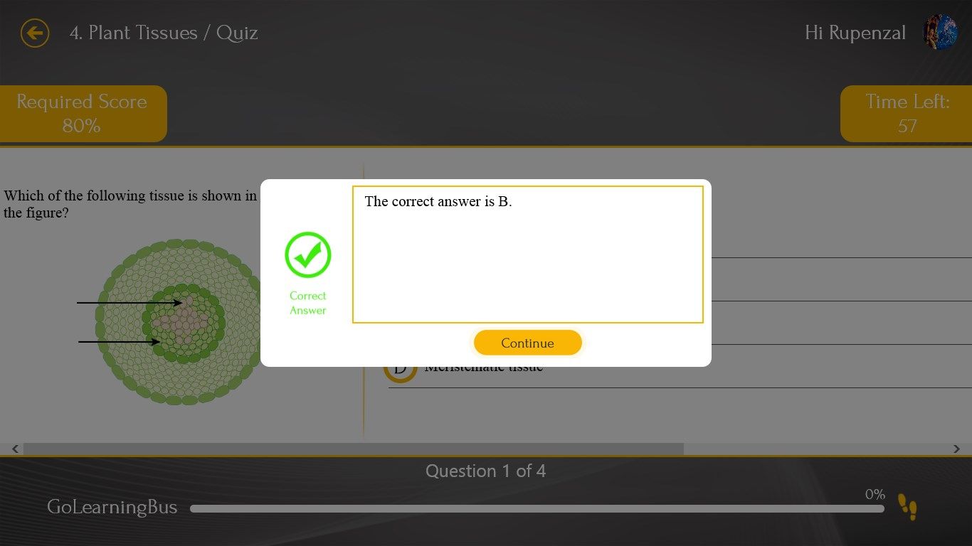 Simple and easy quizzes for self-assessment.