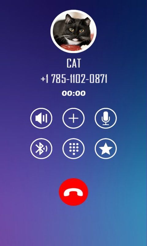 Fake call from cat