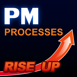 PM Processes