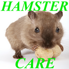 How To Care For Pet Hamster